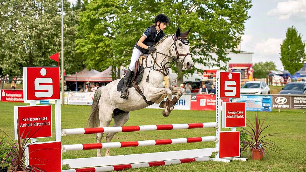 Springprüfungen  aller Klassen gehören beim Greppiner Derby seit Jahren zu den sportlichen Höhepunkten.