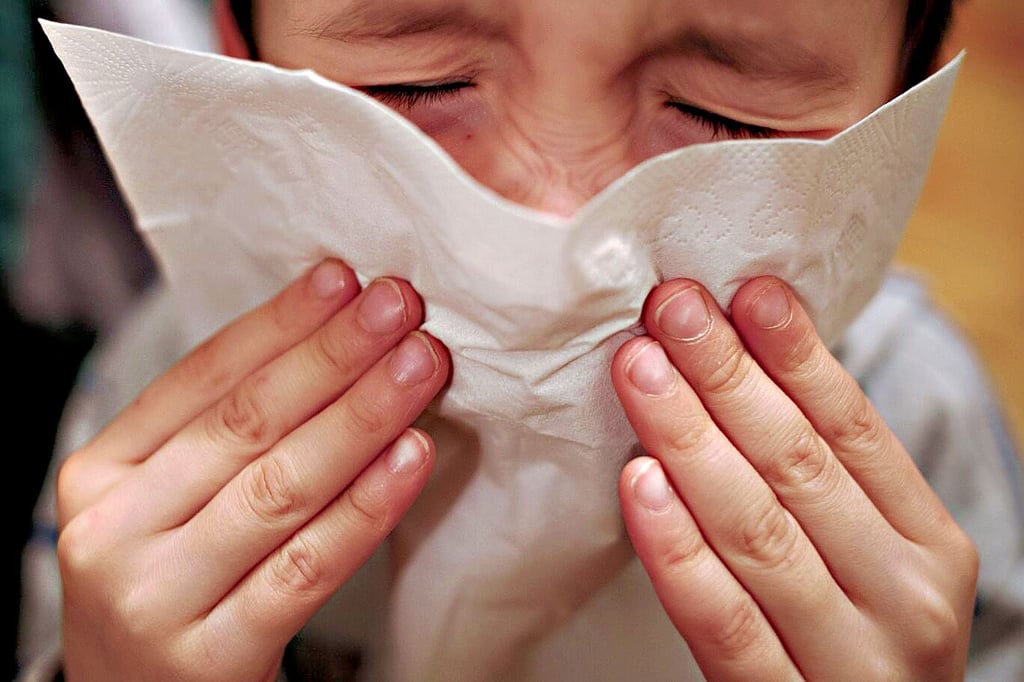 Nicht nur Schnupfen plagt derzeit viele Menschen in der Region.