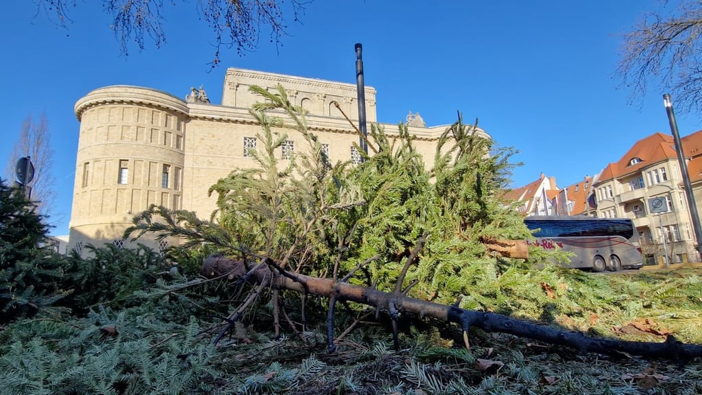 Der Rest eines verbrannten Weihnachtsbaumes liegt vor dem Landesmuseum am Rosa-Luxemburg-Platz in Halle.