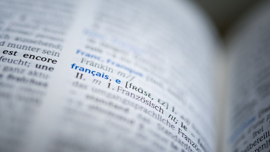 Ein Wörterbuch liegt aufgeschlagen da. (Symbolbild)