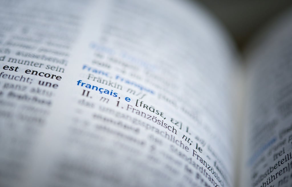 Ein Wörterbuch liegt aufgeschlagen da. (Symbolbild)