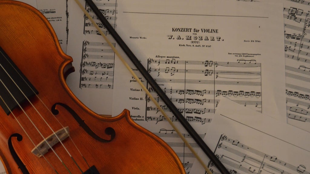 Die Geige ist ein vielseitiges Streichinstrument. Sie wird sicher auch von jungen Musikern beim Bundeswettbewerb „Jugend musiziert“ zum Einsatz kommen. 