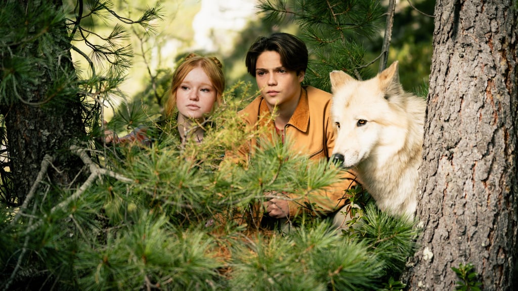 Die drei Gestaltwandler beobachten krumme Machenschaften - Ob sie ihr Revier beschützen können?&nbsp; &nbsp;