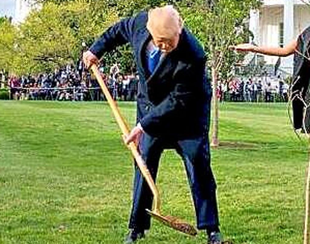 Trumps Garten-Leidenschaft.