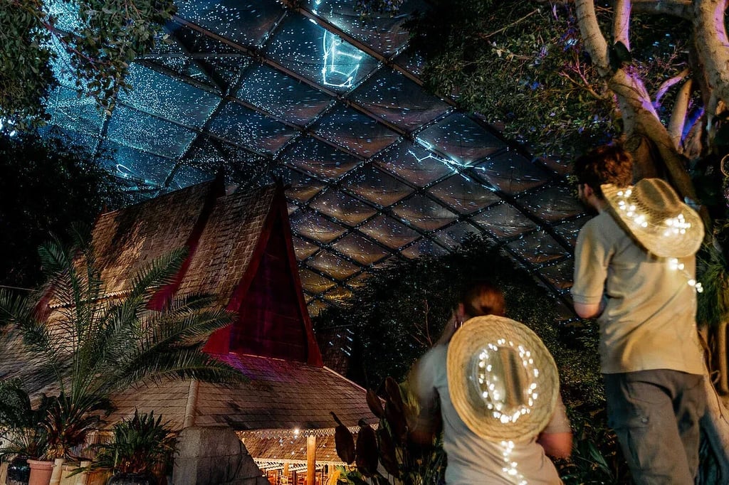 Der Leipziger Zoo verwandelt sich noch bis zum 8. Februar zum Magischen Tropenleuchten in eine faszinierende Lichterwelt.&nbsp;