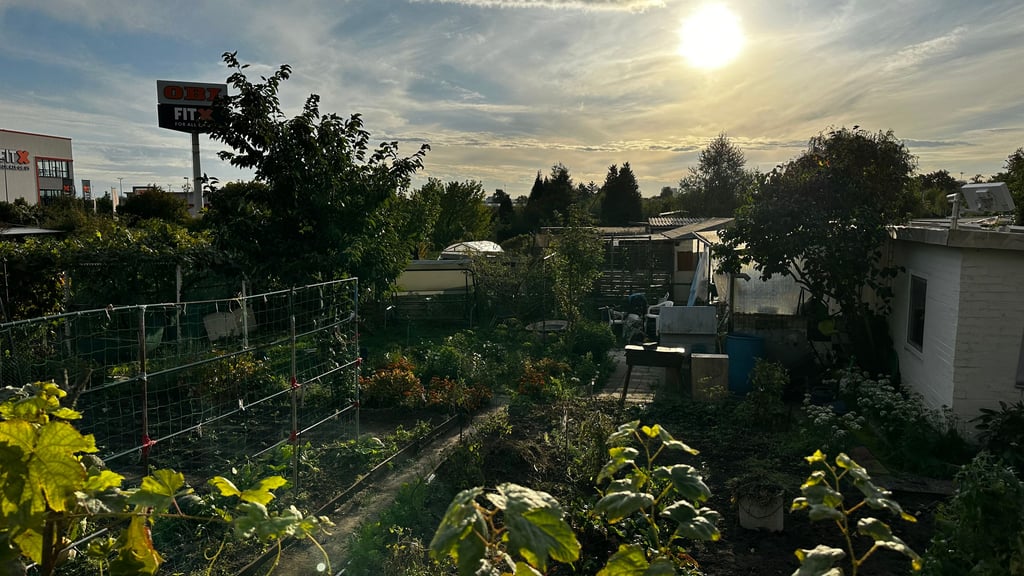 Der Kleingartenverein Ilsetal befindet sich an der Brenneckestraße - dort, wo eine neue Feuer- und Rettungswache in Magdeburg entstehen soll.