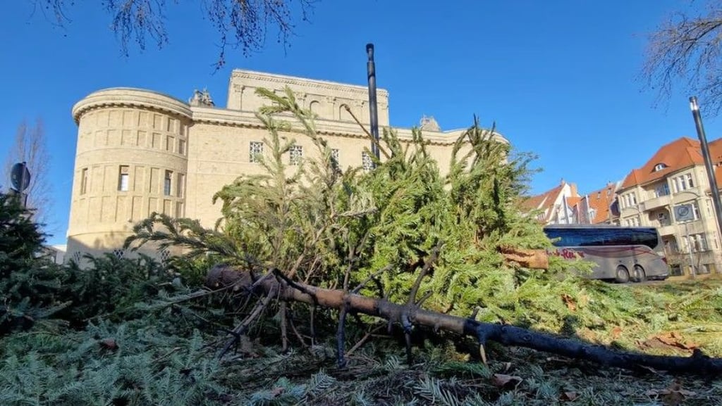 Der Rest eines verbrannten Weihnachtsbaumes liegt vor dem Landesmuseum am Rosa-Luxemburg-Platz in Halle.