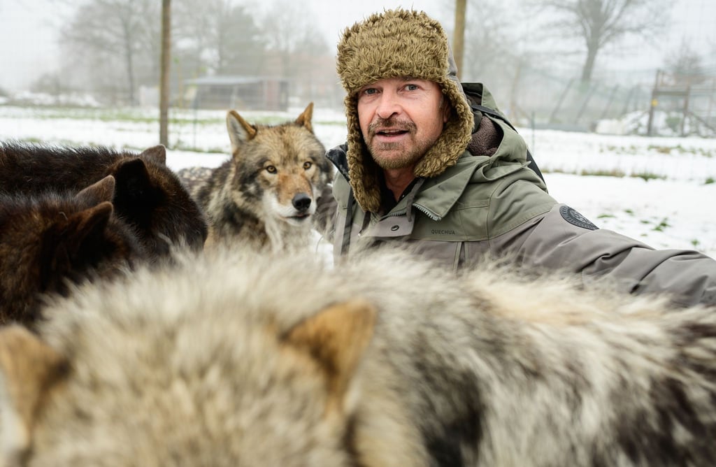 Filmwolf-Trainer Miguel de la Torre und seine Tiere haben im Film „Woodwalkers 2“ mitgewirkt.