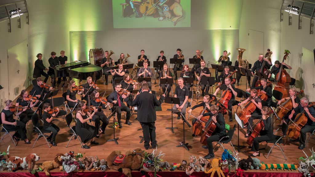 Im Herbstkonzert 2025 brachte die Junge Philharmonie Mansfeld-Südharz den „Karneval der Tiere" auf die Bühne.