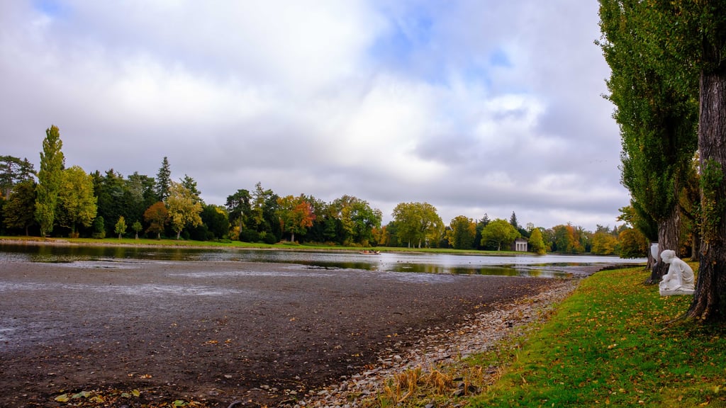 Trotz reichlich Niederschlag im Juli fehlt auch im Jahr 2025 das Wasser im Wörlitzer See.