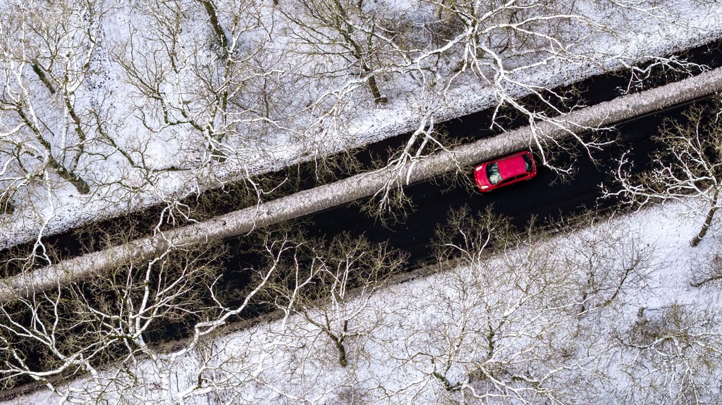 Sachsen-Anhalt darf sich auf ein kaltes und bewölktes Winterwetter am Wochenende einstellen.