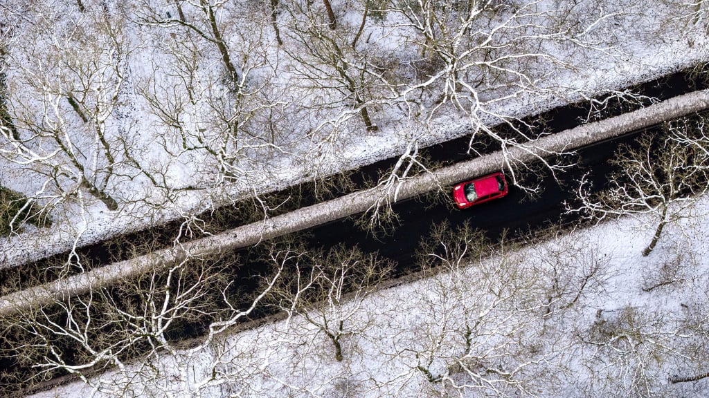Sachsen-Anhalt muss sich auf kaltes und bewölktes Winterwetter am Wochenende einstellen.