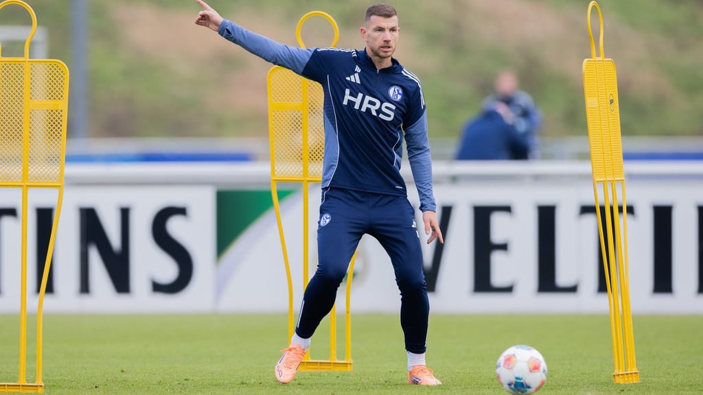 Edin Dzekos erstes Training auf Schalke lockt über 1.000 Fans an.