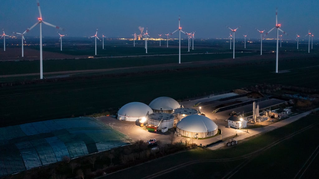 270 Windräder drehen sich bereits zwischen Petersberg und Ziegelrodaer Forst - wie hier hinter der Biogasanlage in Bad Lauchstädt, wo neue Projekte zwar in der Pipeline stehen – doch viele Anlagen bisher nur auf dem Papier existieren.