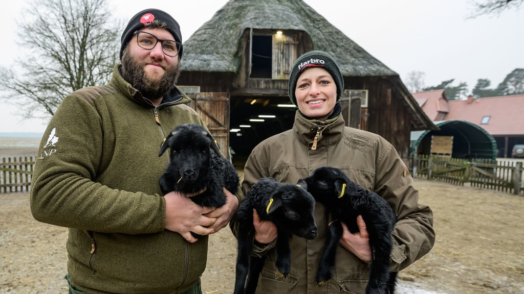 Für Schäfer und Schäferinnen wie Clemens Lippschus und Josefine Schön ist die derzeitige Lammzeit eine extrem intensive und arbeitsreiche Zeit.