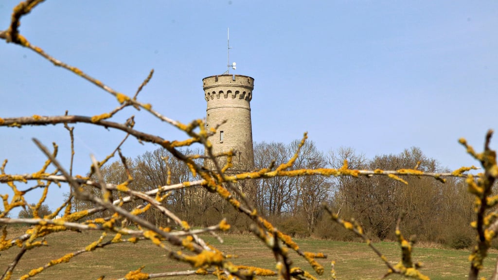 Mehrere Ideen gibt es für den Wartenberg. Der Stadtrat soll sich im nächsten Monat mit den Vorschlägen intensiv beschäftigen. 