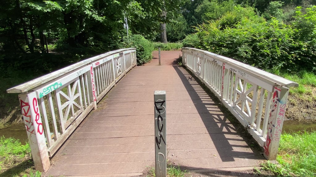 Der Vogelgesang-Park in Magdeburg soll aufgewertet werden. Dazu sind die Ideen der Bürger gefragt.