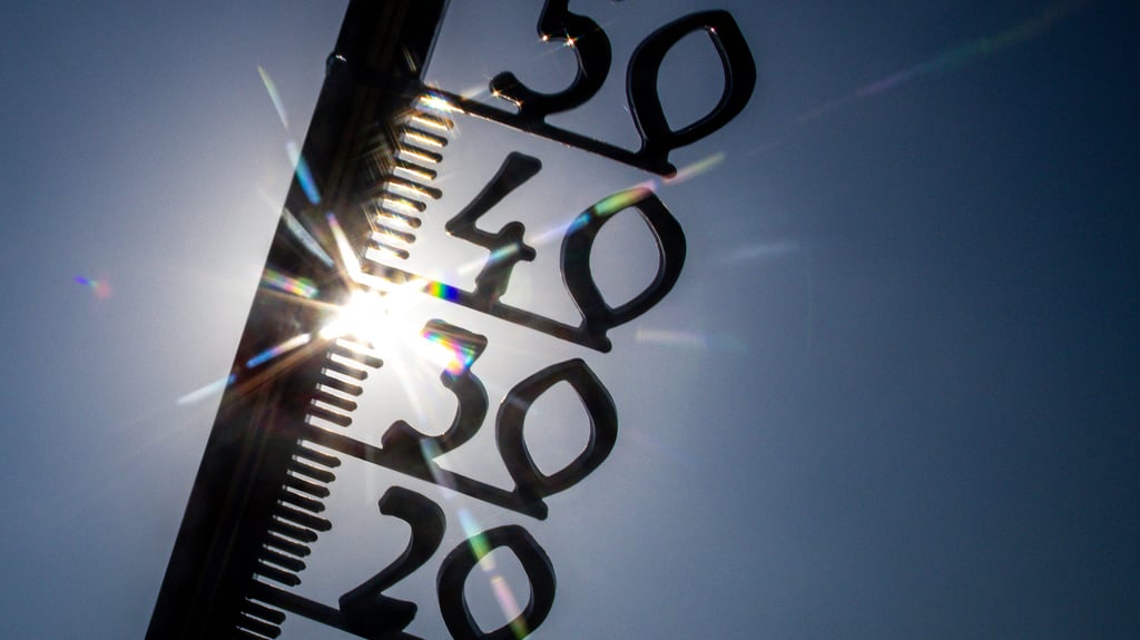 Das Jahr hatte 10 Eistage, 80 Frosttage, 49 Sommertage und 12 Hitzetage. 