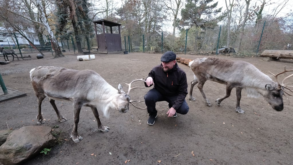 Goldberg-Projektleiter Sebastian Werner im Jahr 2018 mit den beiden Rentieren Finni und Rudi