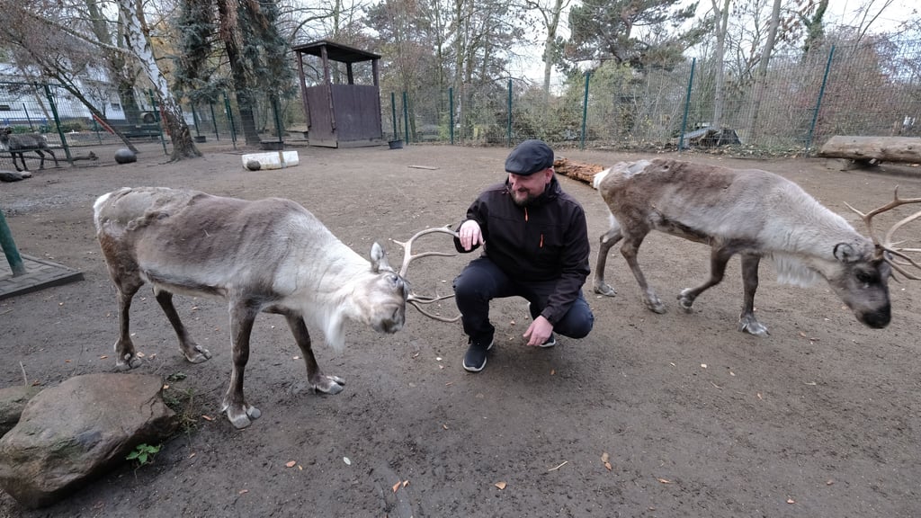 Sebastian Werner im Jahr 2018 mit den beiden Rentieren Finni und Rudi