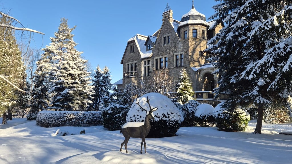 Das Schlosshotel Stecklenberg hat erneut eine Holiday-Check-Auszeichnung erhalten. 