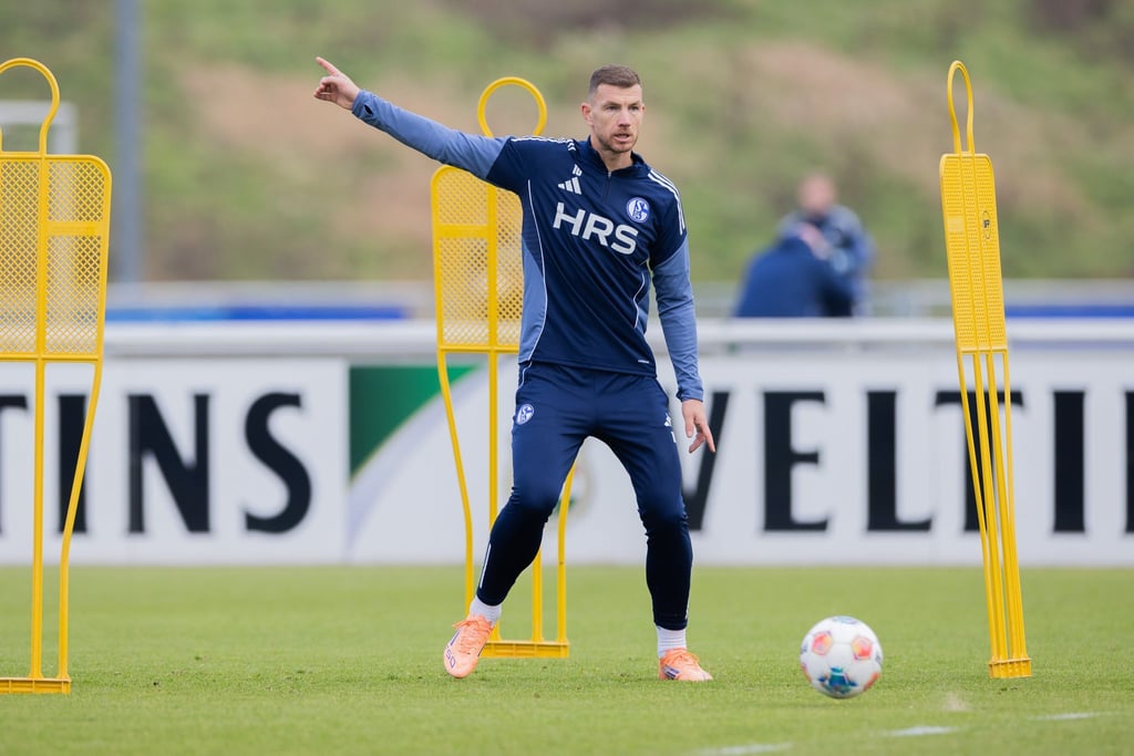 Edin Dzekos erstes Training auf Schalke lockt über 1.000 Fans an.