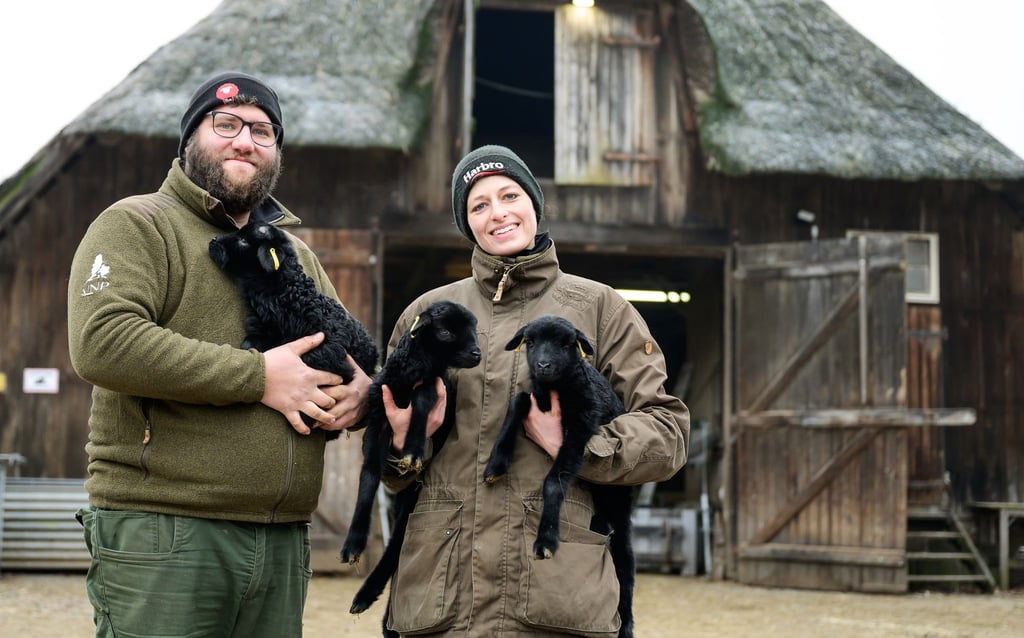 Für Schäfer und Schäferinnen wie Clemens Lippschuss und Josefine Schön ist die derzeitige Lammzeit eine extrem intensive und arbeitsreiche Zeit.
