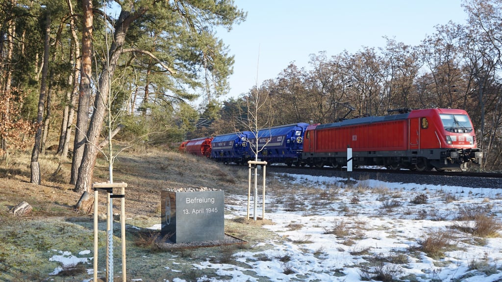 Am Gedenkstein für den gestrandeten Zug wurden neue Hickory-Bäume gepflanzt.