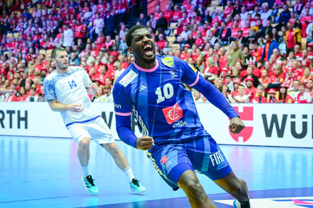 Starspieler Dika Mem war bester Spieler bei den Franzosen.