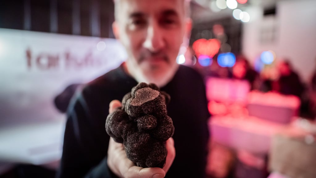 Massimo Ferradino hält beim „Truffle & Truffle“-Festival 2026 einen Schwarzen Wintertrüffel im geschätzten Wert von 500 Euro in die Kamera.