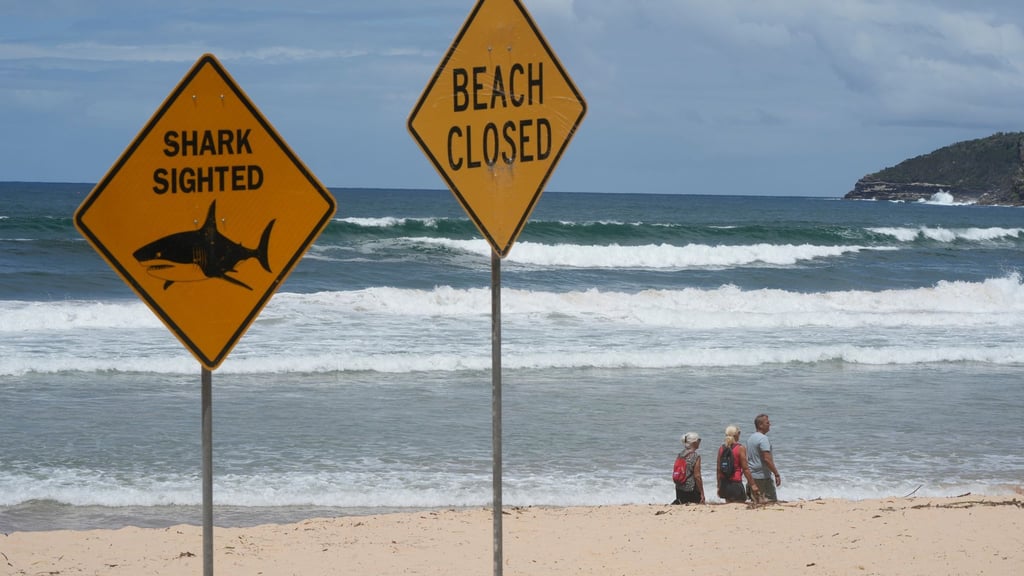 Innerhalb von nur wenigen Tagen wurden aus dem australischen Bundesstaat New South Wales vier Haiangriffe gemeldet. (Symbolbild)