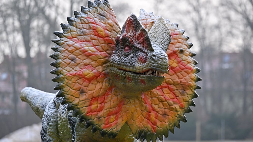 Die Ausstellung eröffnet mit einer Woche Verspätung. (Archivbild)