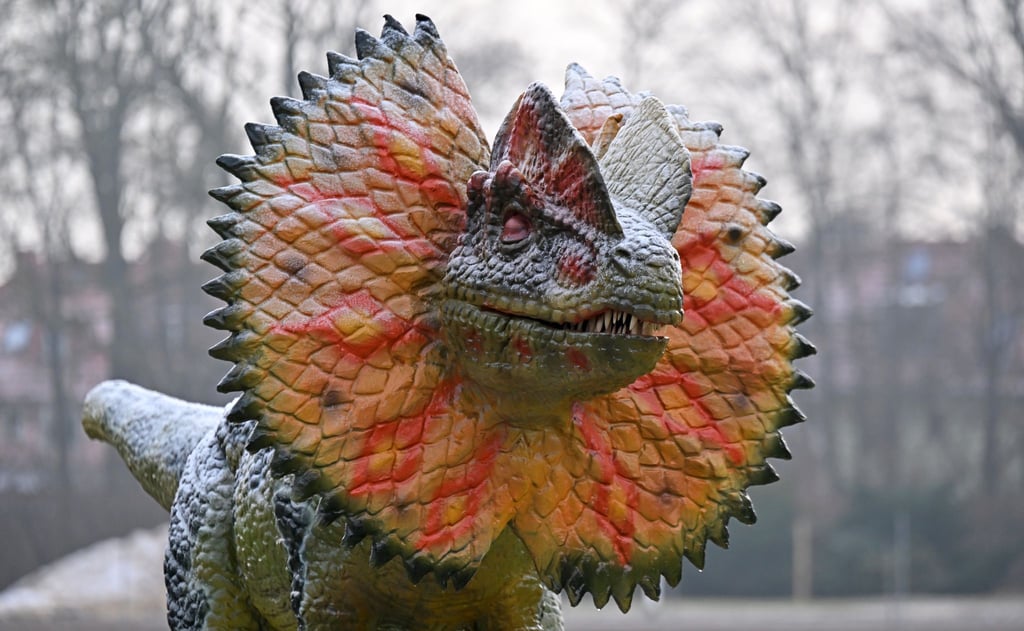 Die Ausstellung eröffnet mit einer Woche Verspätung. (Archivbild)