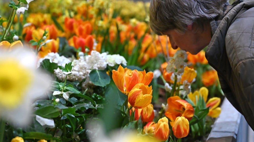 Die Besucherzahl auf der diesjährigen Woche übertraf die Erwartungen deutlich. (Archivbild)