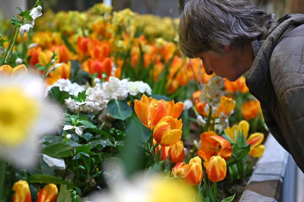 Die Besucherzahl auf der diesjährigen Woche übertraf die Erwartungen deutlich. (Archivbild)
