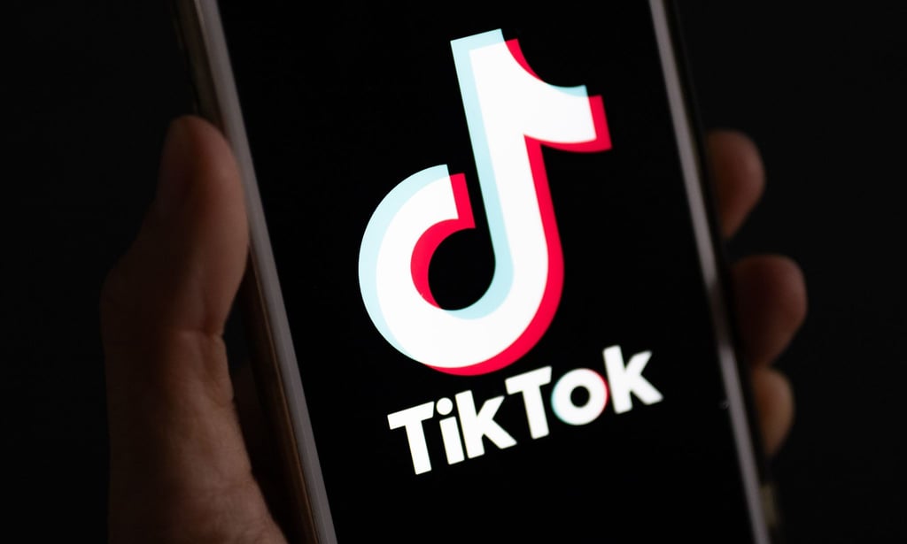 Die Plattform Tiktok hat in Deutschland viele junge Nutzerinnen und Nutzer. (Symbolbild)