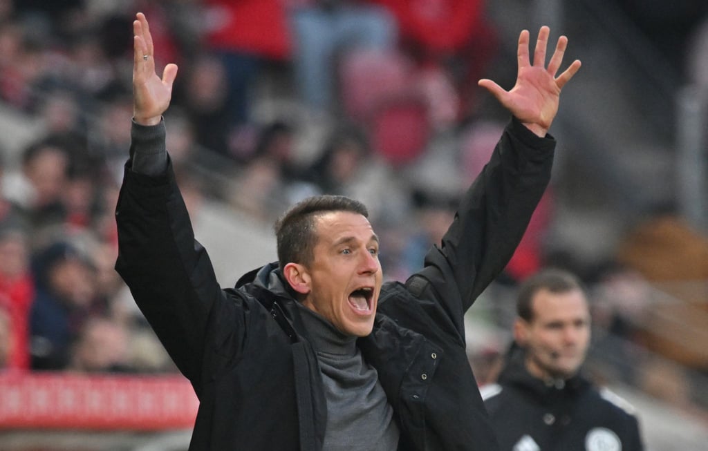 Verzweifelt in Mainz: Wolfsburgs Trainer Daniel Bauer.