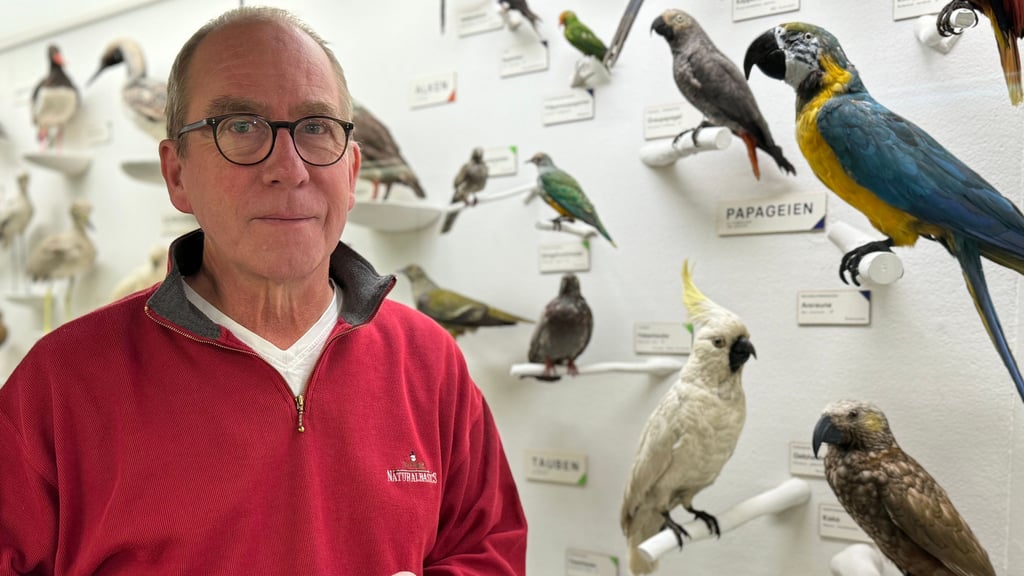 Rüdiger Becker, hier vor der Vitrine mit Vögeln aus aller Welt, ist seit zehn Jahren Direktor des Naturkundemuseums Heineanum in Halberstadt.