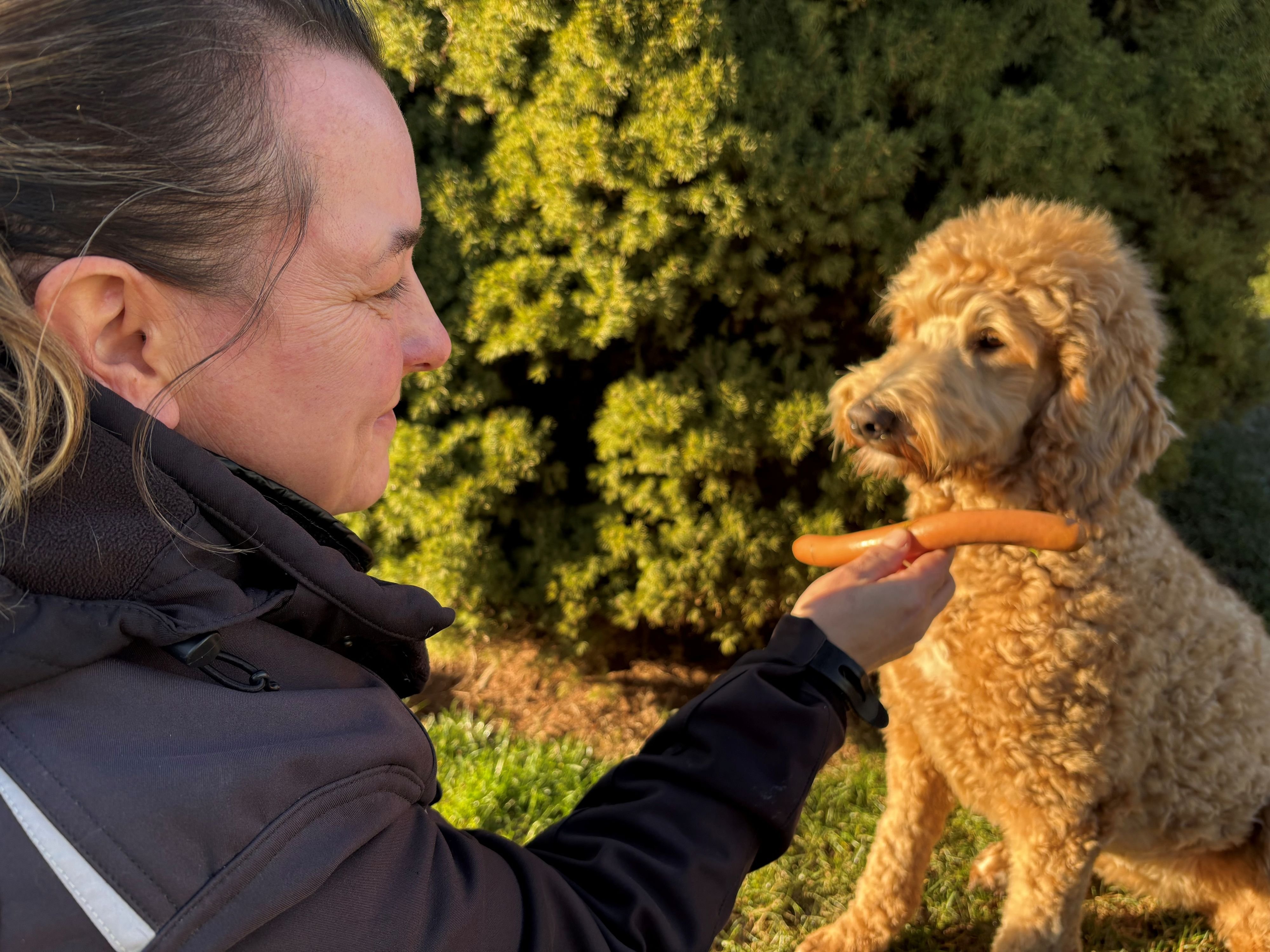 Training zum Schutz: Gefährliche Leckerli: Hundetrainerin zeigt Vierbeinern in Halle, wie sie vergifteten Ködern aus dem Weg gehen können