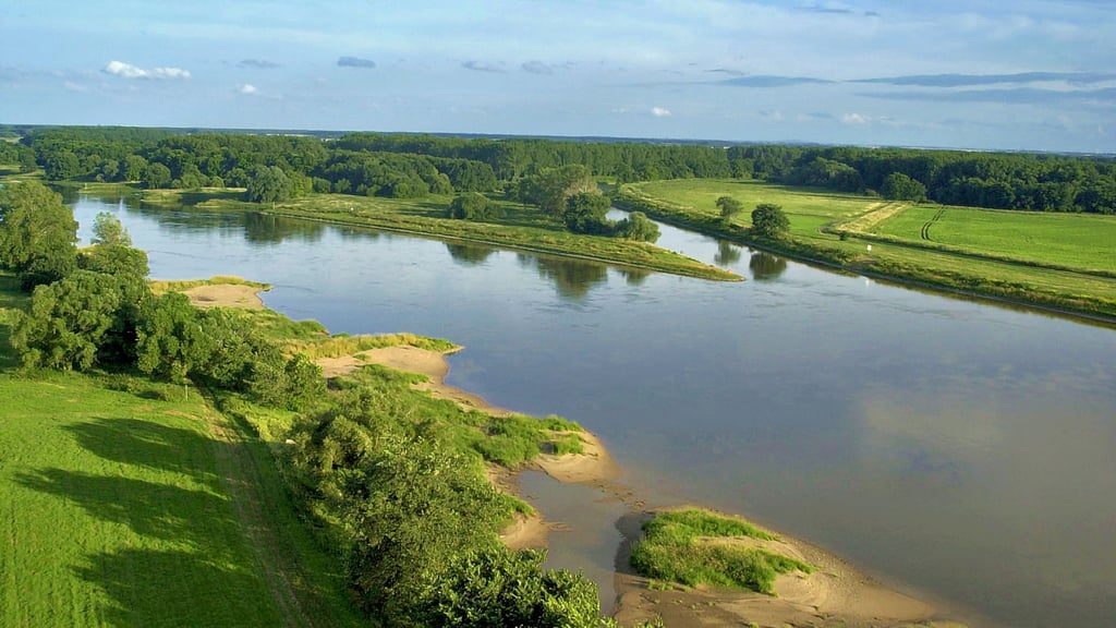 Die Elbe-Saale-Mündung bei Barby.  Ziel des Projektes ist die Renaturierung der Auenlandschaft und ihrer einzigartigen Lebensräume. 