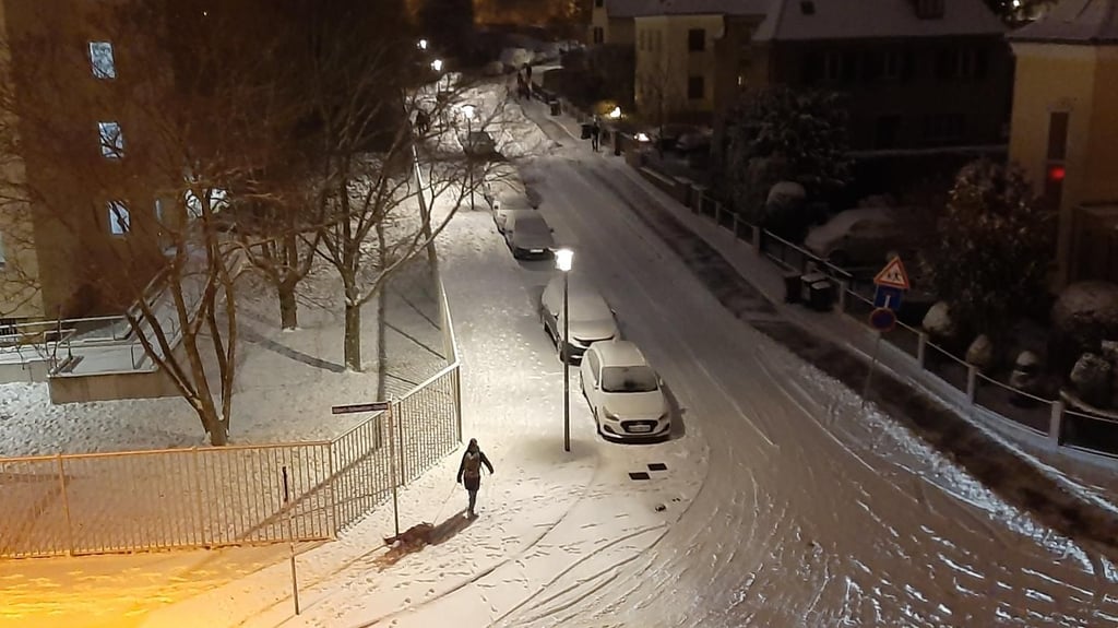 Wieder weiß: Der Schnee der Nacht ist am Morgen in Halle noch gut zu sehen.