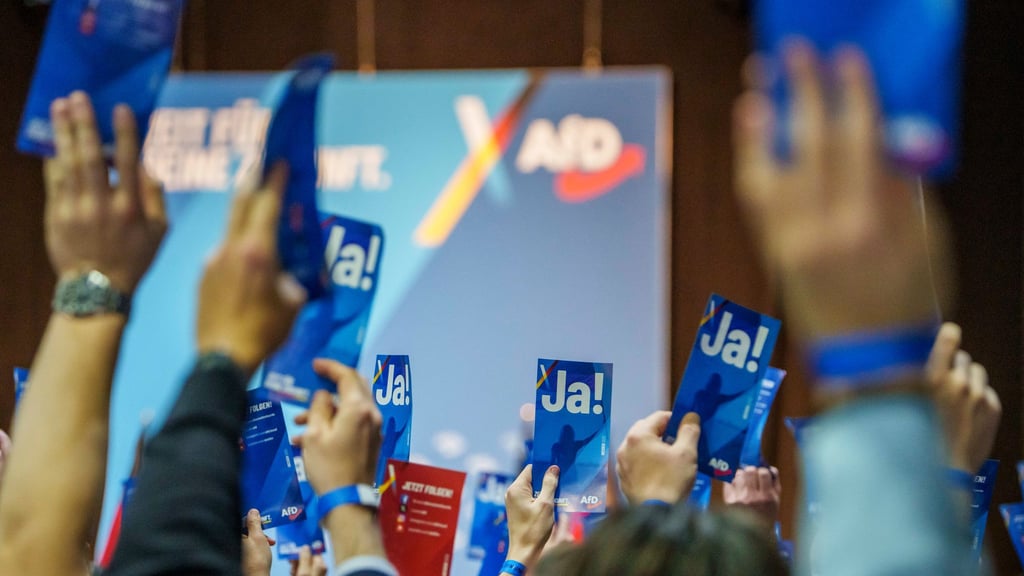 Mit der Jugendorganisation Generation Deutschland setzt die AfD auf einen Neuanfang – nun soll auch in Niedersachsen ein Landesverband entstehen. (Archivbild)