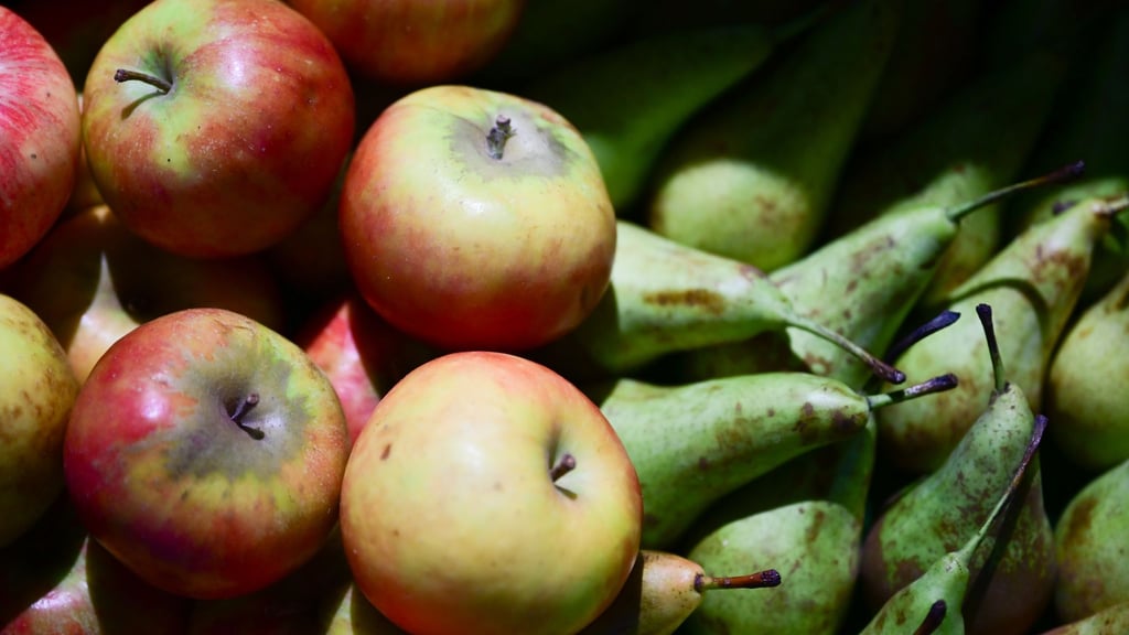 Bei der Grünen Woche gibt es stets zahlreiche Lebensmittel.