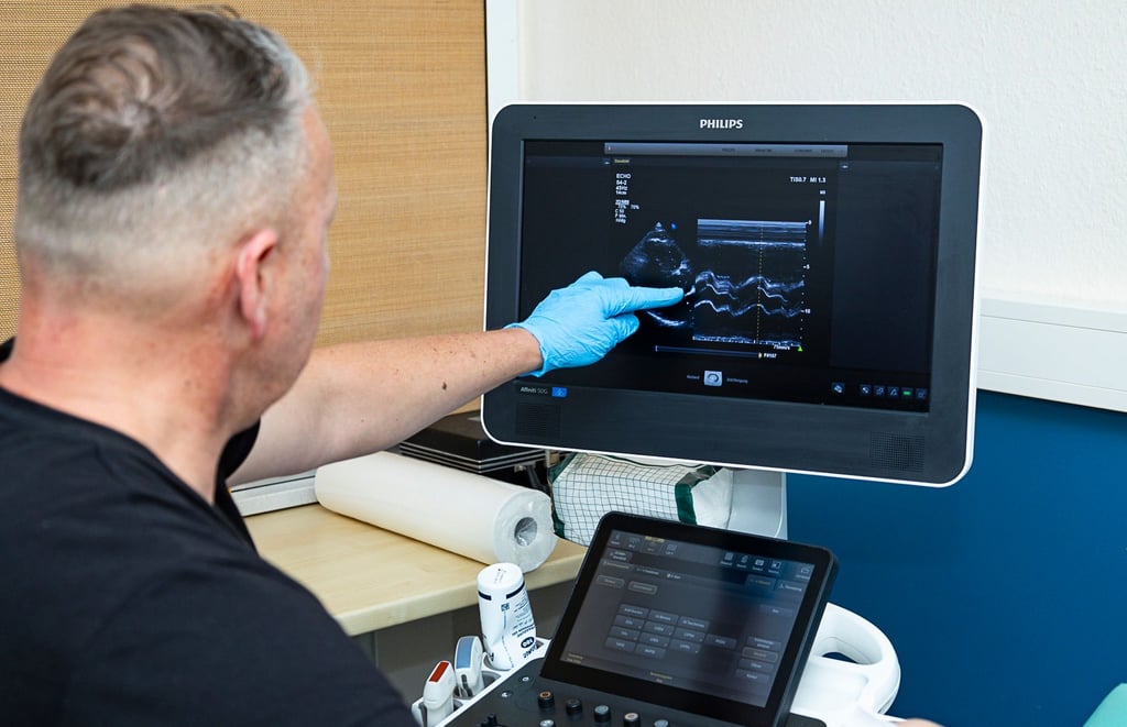 Facharzttermine, wie beispielsweise für eine Ultraschalluntersuchungen können über die Hotline 116 117 gebucht werden.