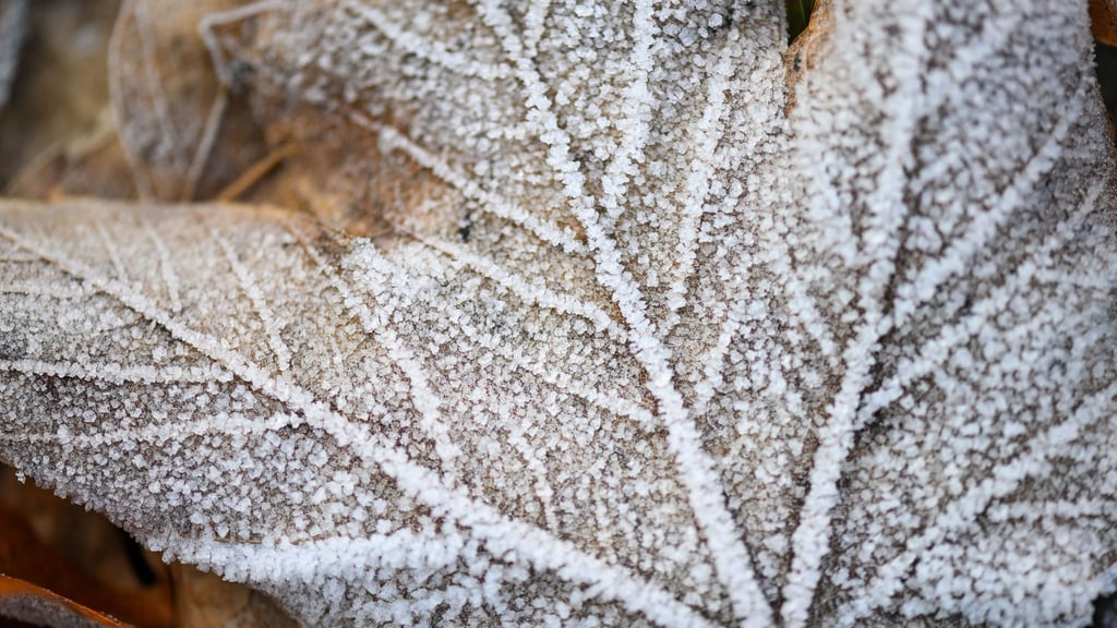 Trotz Schneefall bleibt der Winter in Mitteldeutschland bislang zu trocken. (Symbolbild)
