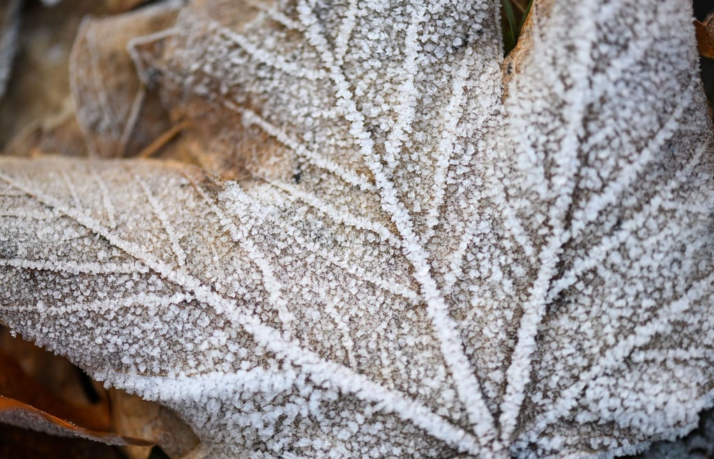 Trotz Schneefall bleibt der Winter in Mitteldeutschland bislang zu trocken. (Symbolbild)