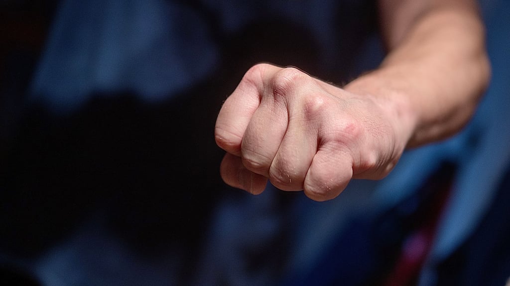 Ein Schwarzfahrer hat am Sonntagnachmittag einen Zugbegleiter am Bahnhof Halle-Neustadt bewusstlos geschlagen.