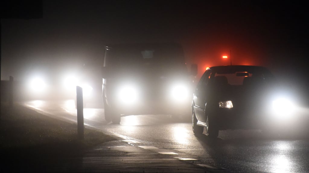 Die Frau fühlte sich von einem entgegenkommenden Auto geblendet. 