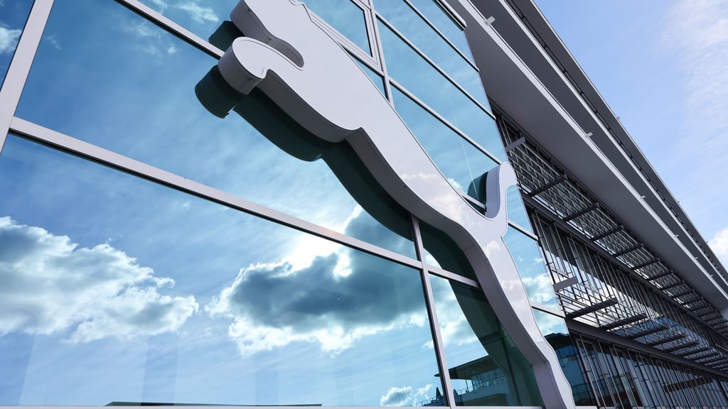 Die Anteile an Puma kommen von einer französischen Milliardärsfamilie. (Symbolbild)