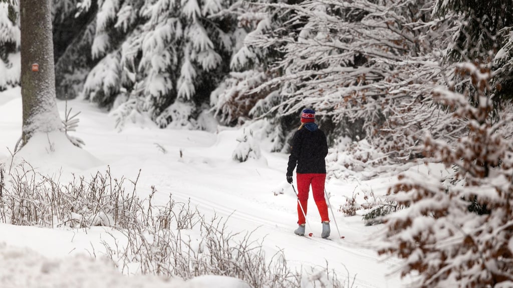 Rund 250 Kilometer Loipen und fünf geöffnete Liftanlagen: Wintersportfans finden derzeit im Thüringer Wald gute Bedingungen vor. (Archivbild)